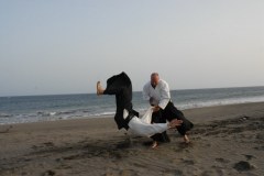 Entrenamiento en la playa (2010)