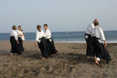 Entrenamiento en la playa (2010)